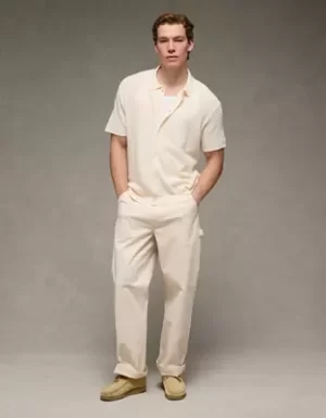 AE Waffle Button-Up Polo Shirt