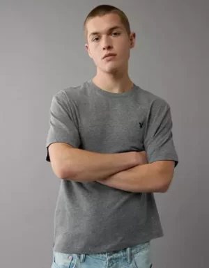 AE Lightweight Icon T-Shirt